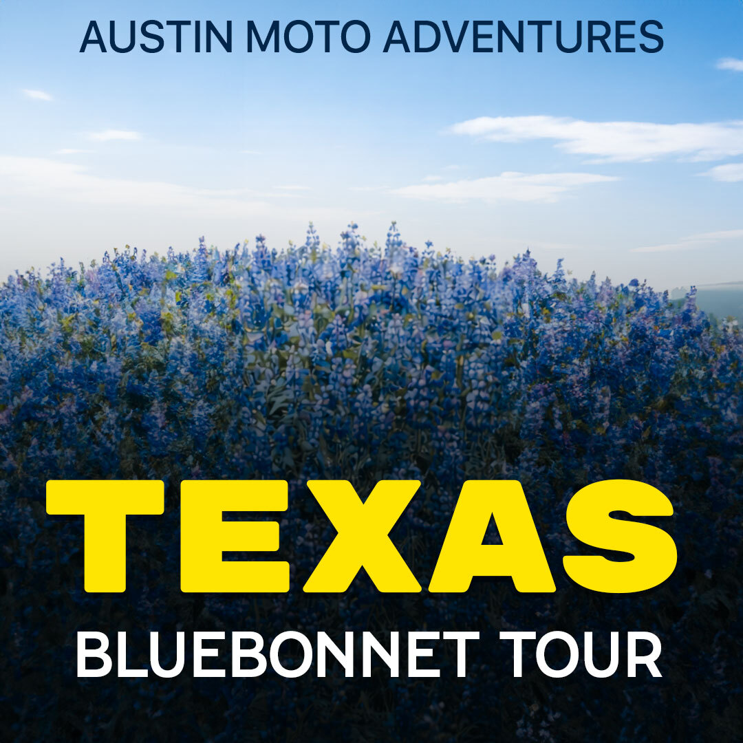 Texas Bluebonnet trail